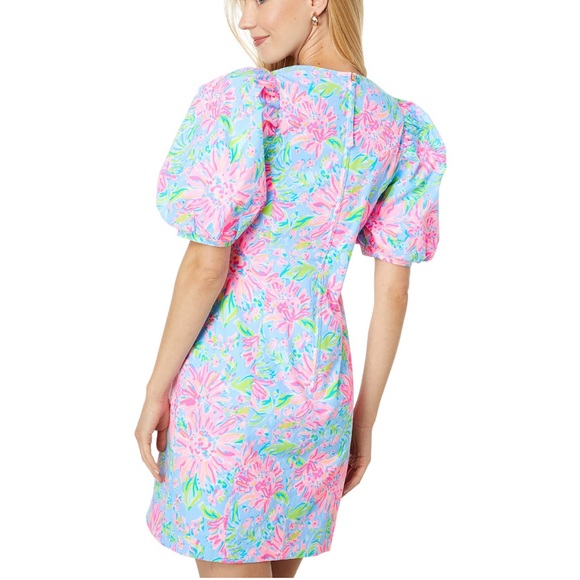 NWT Lilly Pulitzer Roni Dress - Picture 2 of 10